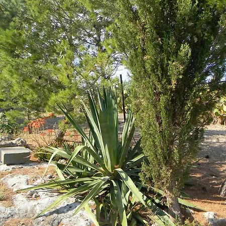 Casa Sierra Vento Bed & Breakfast Noto