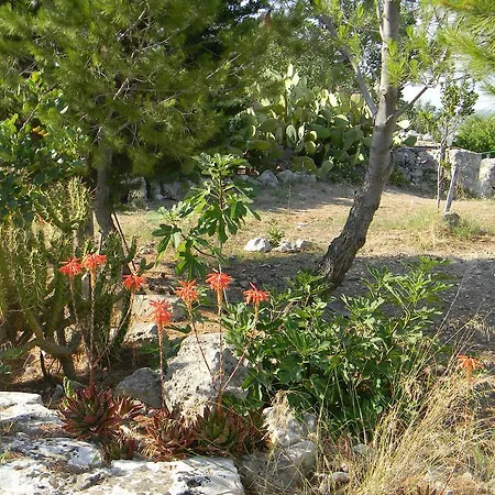 فندق مبيت وإفطار Casa Sierra Vento 3*